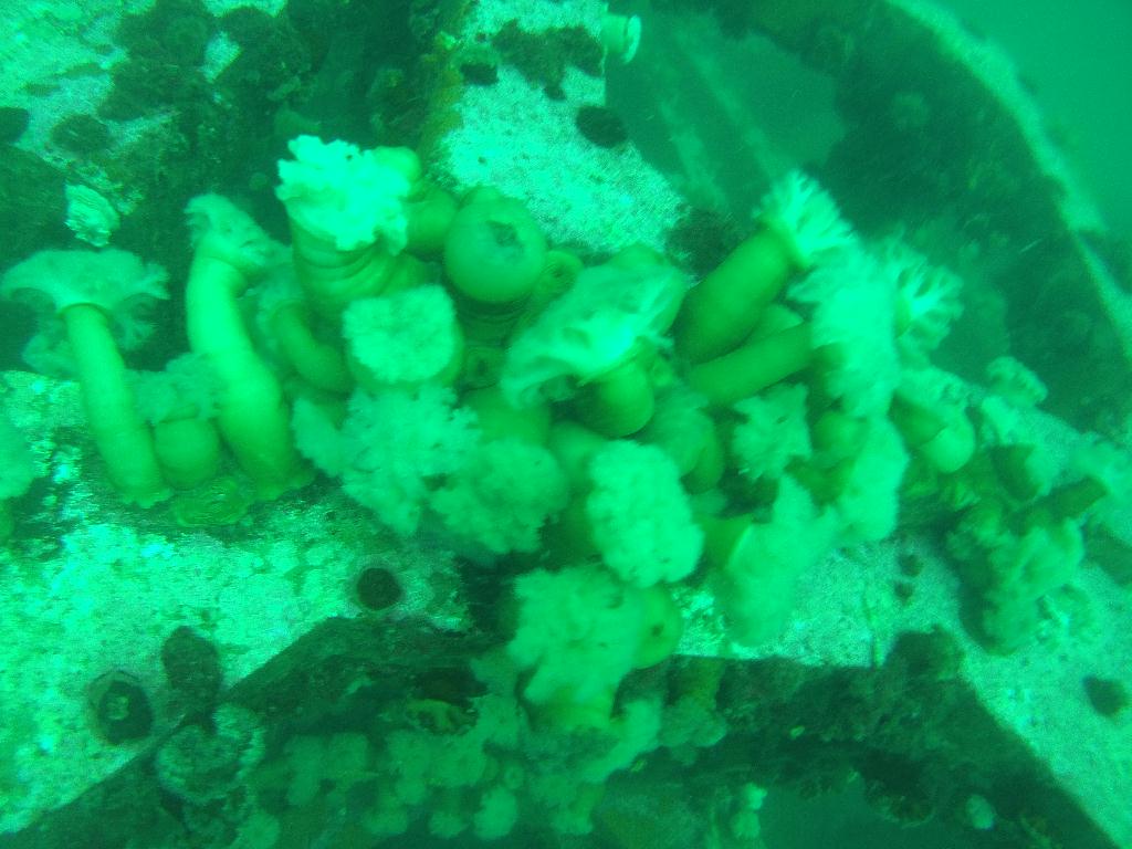 펀다이빙 인공 어초 - 고성 문암다이브리조트 - 인공어초