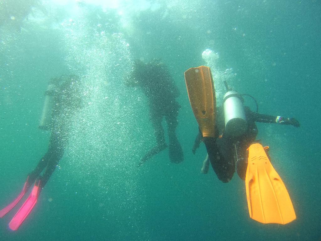 펀다이빙 인공 어초 - 고성 문암다이브리조트 - 인공어초