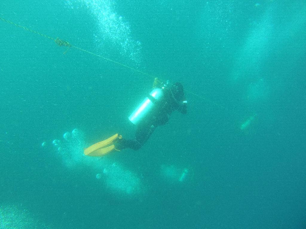 펀다이빙 인공 어초 - 고성 문암다이브리조트 - 인공어초