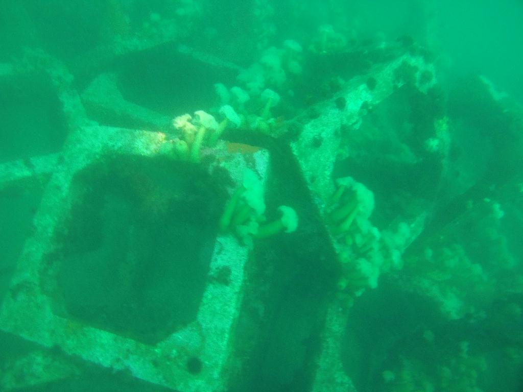 펀다이빙 인공 어초 - 고성 문암다이브리조트 - 인공어초