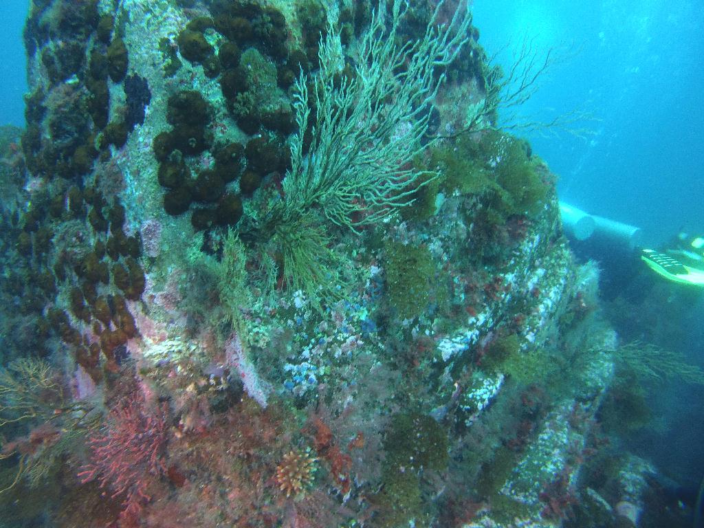 펀다이빙(나이트룩스 교육) - 고성 문암 다이브리조트 - 마이산