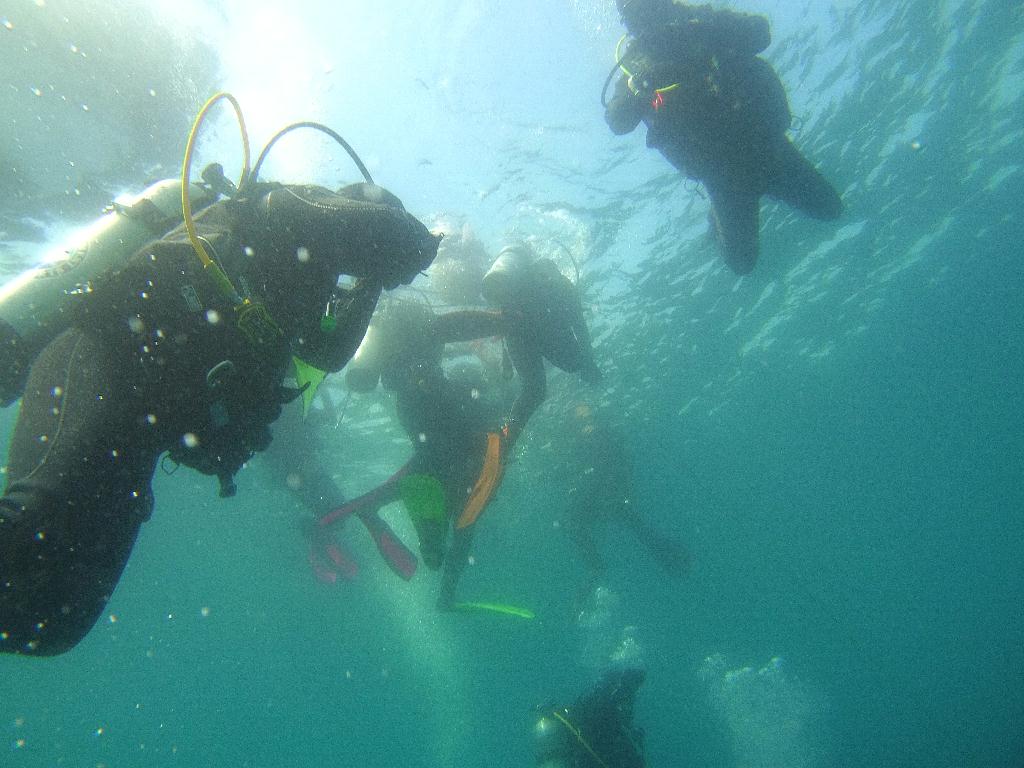 펀다이빙 인공 어초 - 고성 문암다이브리조트 - 인공어초