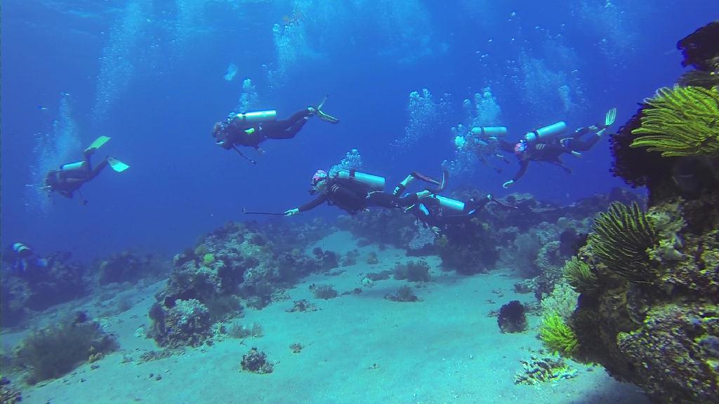 세부 릴로안 아포섬 - 맘사