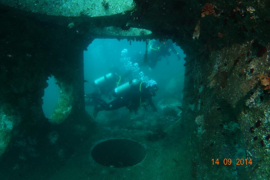 양양팀스쿠버 - 모자반