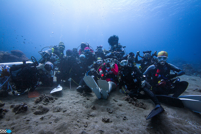 필리핀 두마게티 - 아포 아일랜드 & 다윈