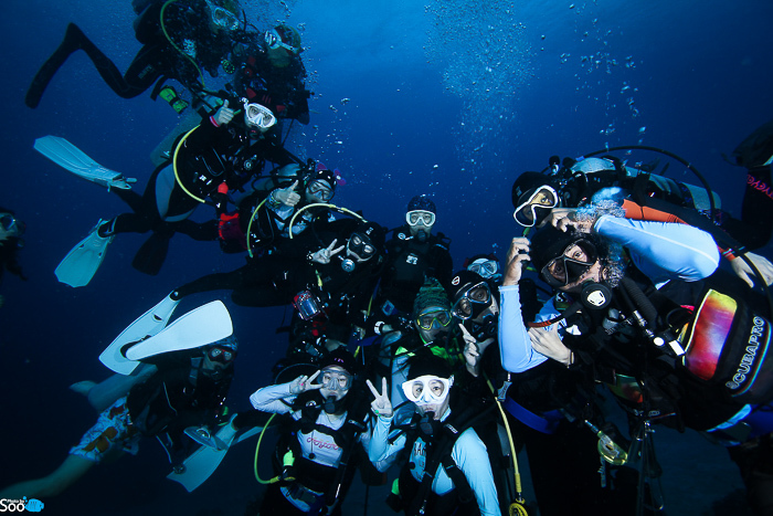 필리핀 두마게티 - 아포 아일랜드 & 다윈