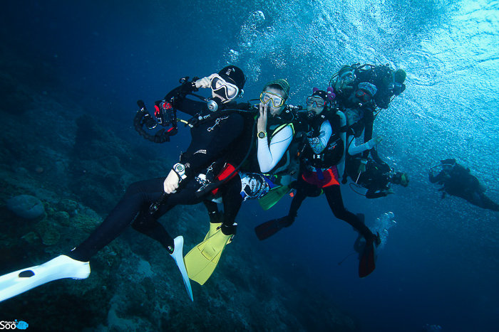 필리핀 두마게티 - 아포 아일랜드 & 다윈
