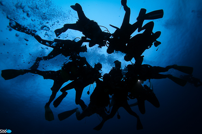 필리핀 두마게티 - 아포 아일랜드 & 다윈