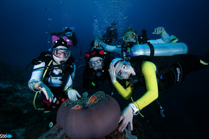 필리핀 두마게티 - 아포 아일랜드 & 다윈