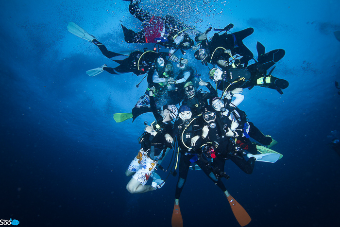필리핀 두마게티 - 아포 아일랜드 & 다윈