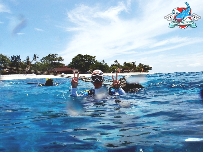 펀 다이빙 - 보홀 발리카삭 - 블랙 포레스트