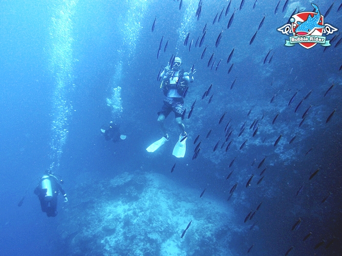 펀 다이빙 - 보홀 발리카삭 - 블랙 포레스트