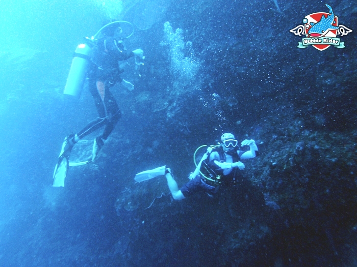 펀 다이빙 - 보홀 발리카삭 - 블랙 포레스트