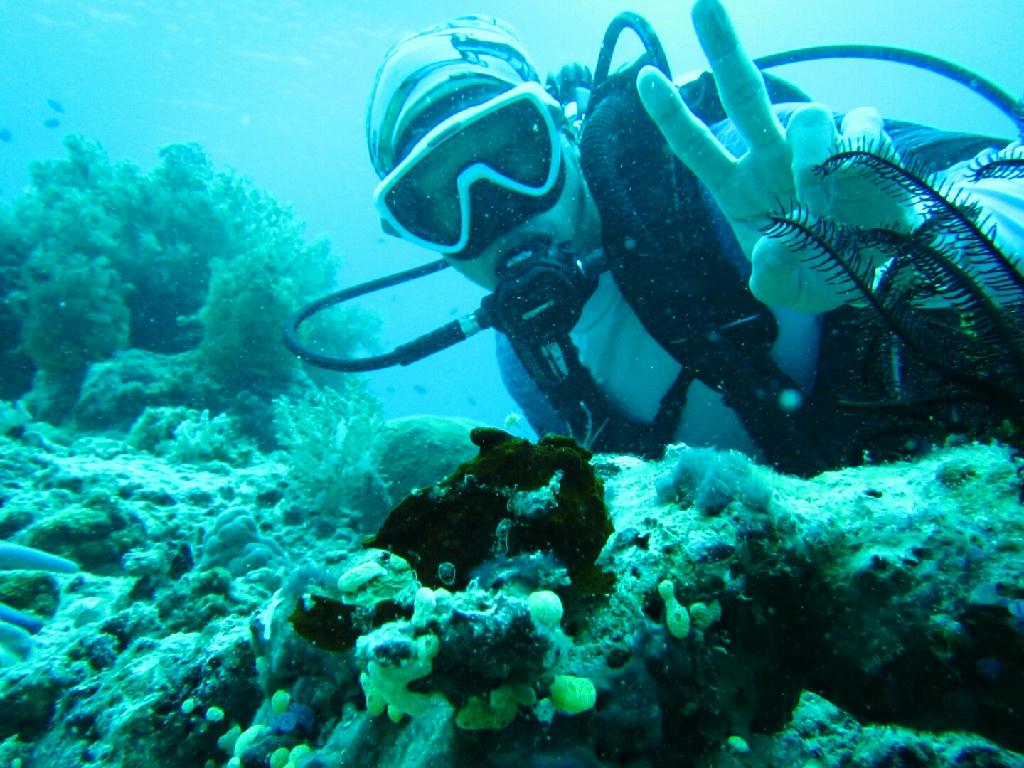 펀다이빙 - 보홀 발리카삭 - 블랙 포레스트