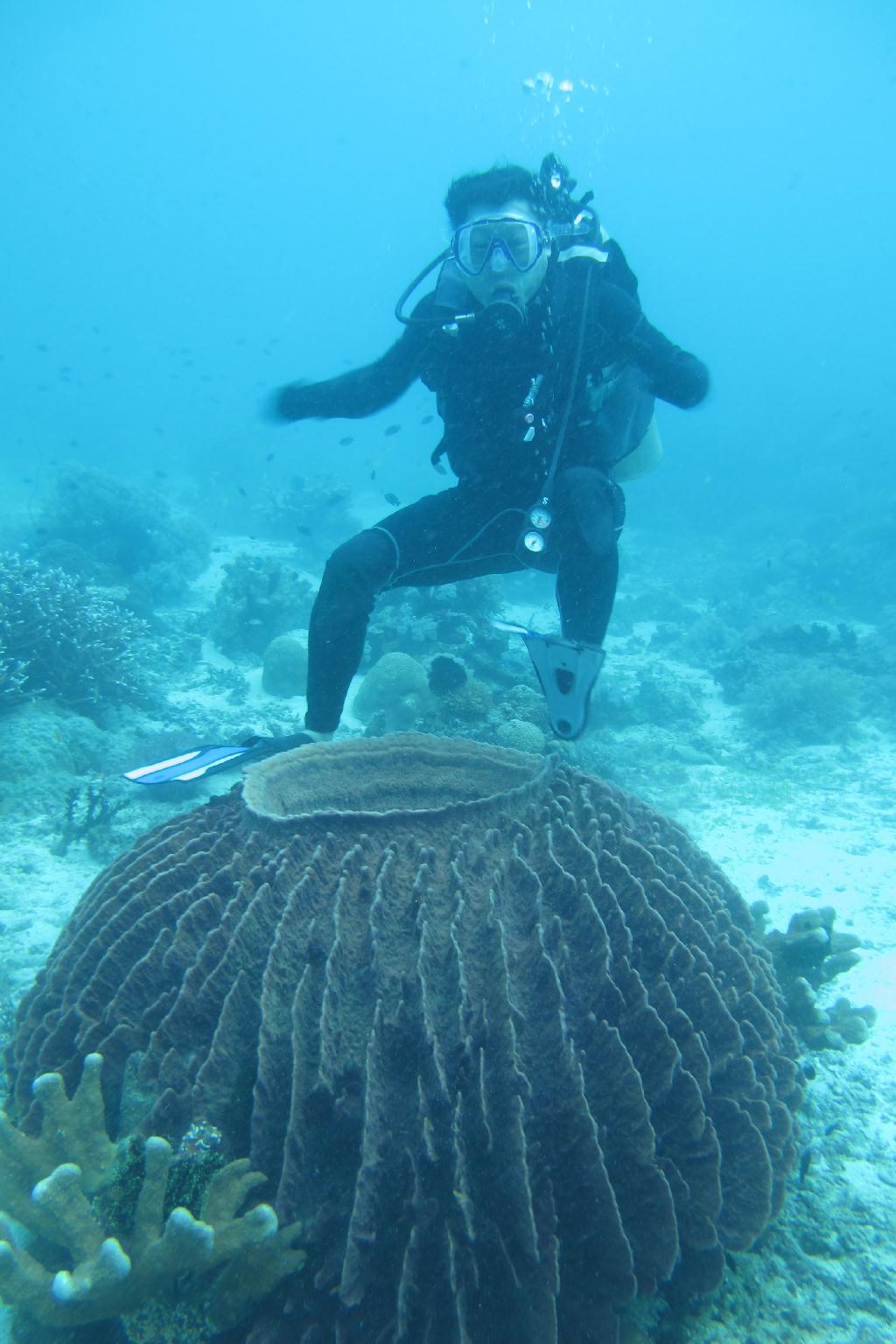 Anilao,PHILIPPINES - Mainit