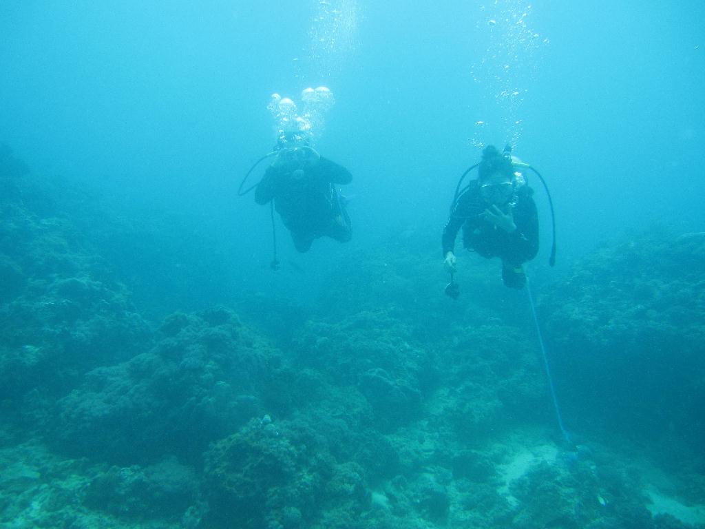 Anilao,PHILIPPINES - Twin Rock