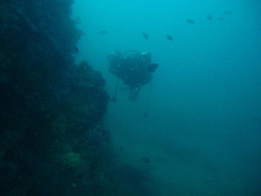 Anilao,PHILIPPINES - Spring Bubble