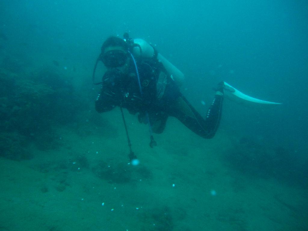 Anilao,PHILIPPINES - Spring Bubble