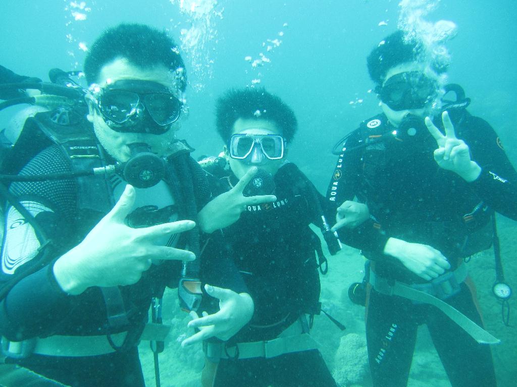 Anilao,PHILIPPINES - Twin Rock