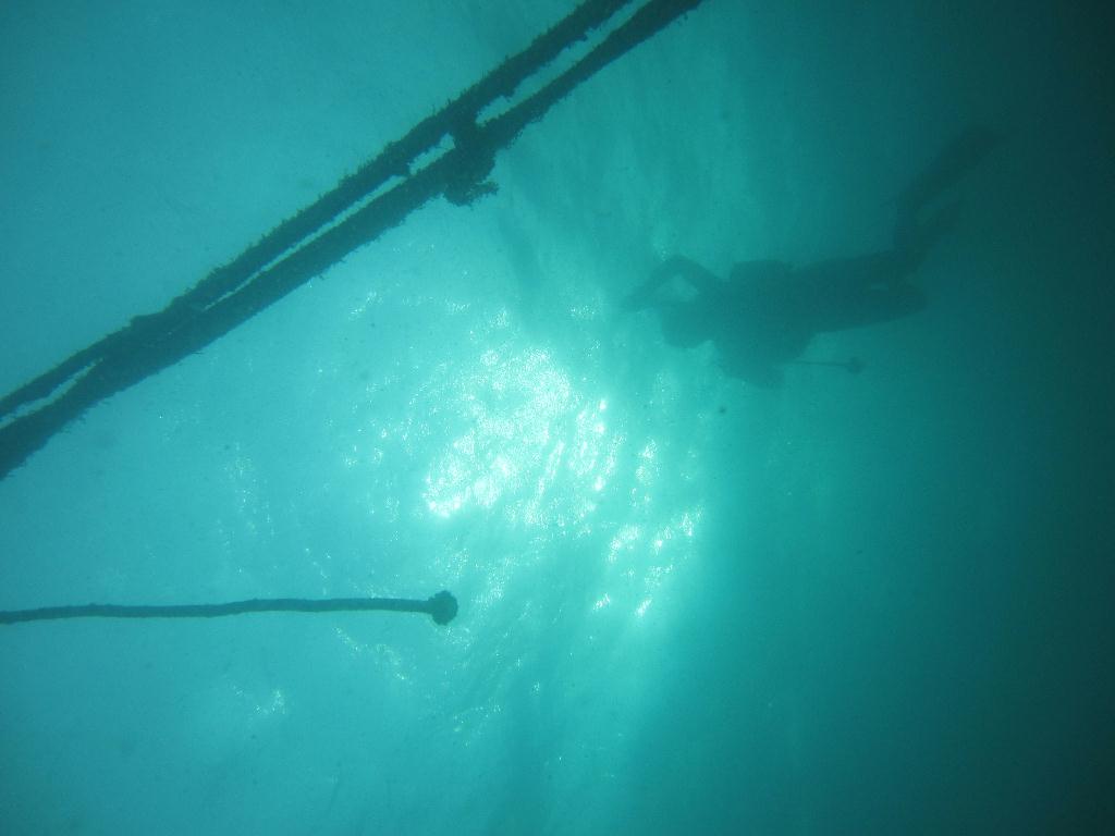 Anilao,PHILIPPINES - Spring Bubble
