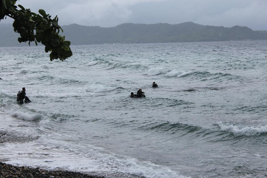 Anilao,PHILIPPINES - spring bubble