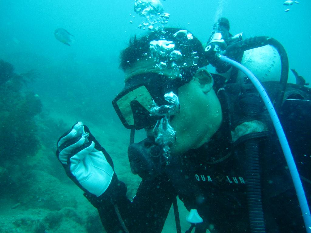 Anilao,PHILIPPINES - Spring Bubble