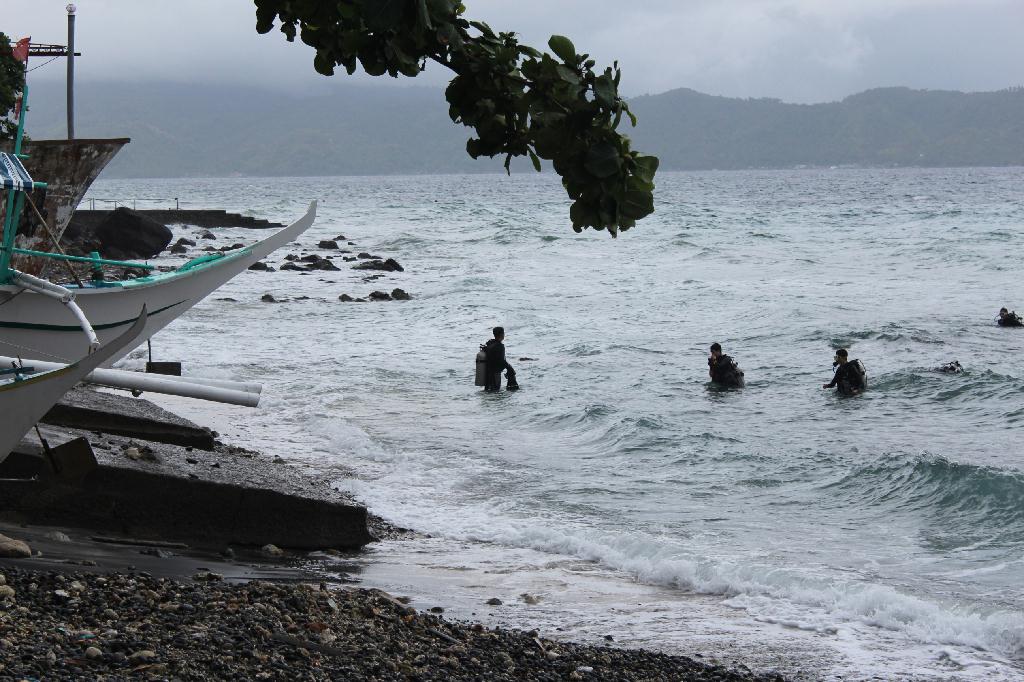 Anilao,PHILIPPINES - spring bubble