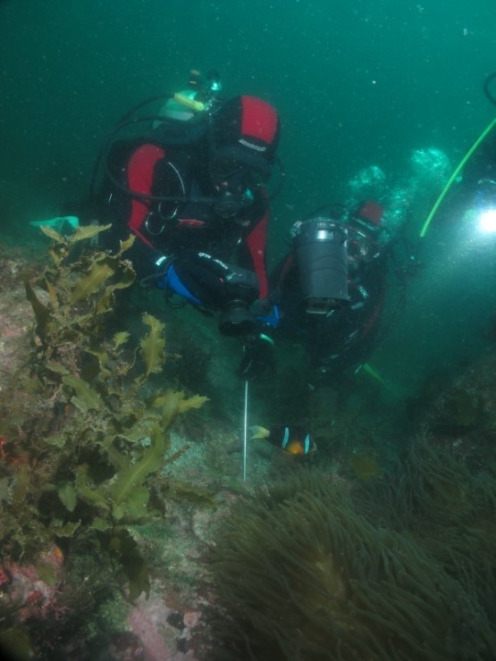 펀다이빙 - 제주도 굿다이버 - 범섬 새끼섬