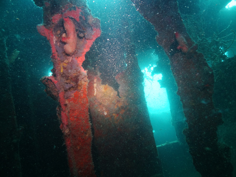 렉(Wrdck) 다이빙 - 팔라완 코론(산호다이브 리조트) - 이스트 탕캇(East Tangot)