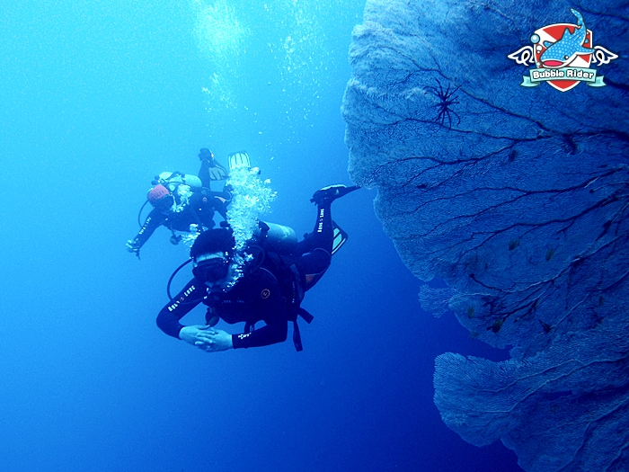 보홀 - 발리카삭