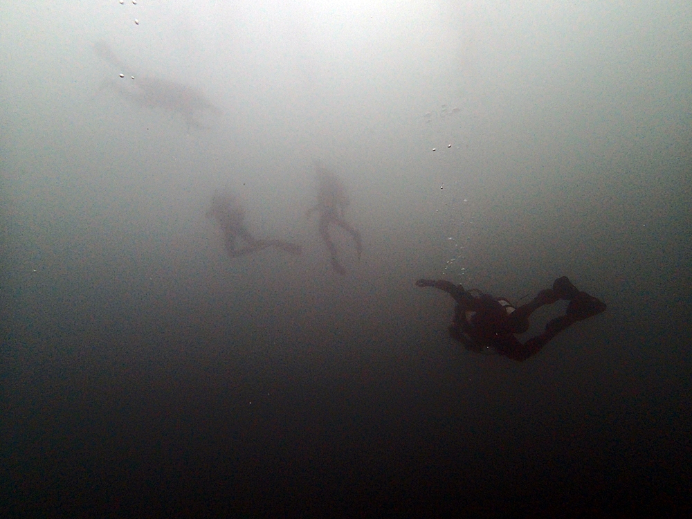Fun Diving - 강원도 고성 청간정 리조트 (http://cafe.naver.com/gooddive) - 신규 포인트 