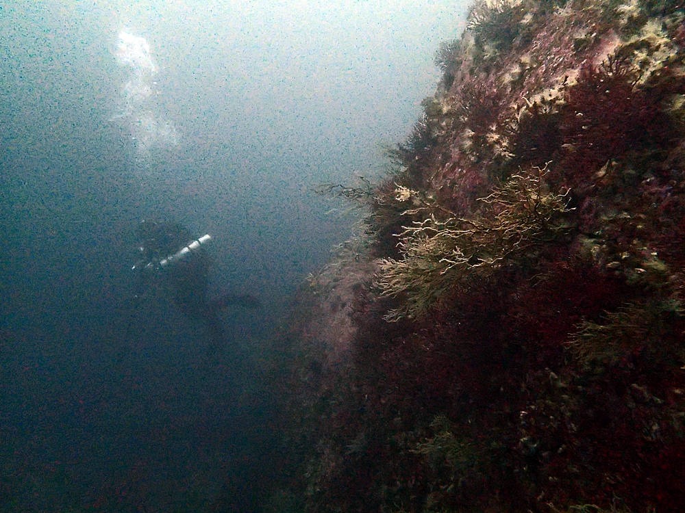 Fun Diving - 강원도 고성 청간정 리조트 (http://cafe.naver.com/gooddive) - 신규 포인트