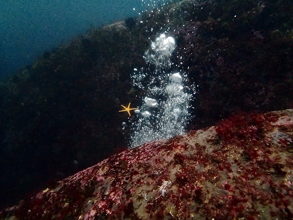 Fun Diving - 강원도 고성 청간정 리조트 (http://cafe.naver.com/gooddive) - 신규 포인트 