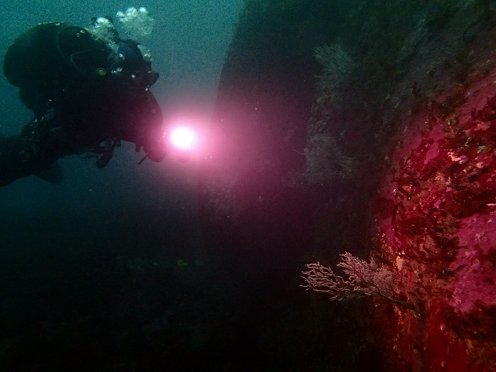 Fun Diving - 강원도 고성 청간정 리조트 (http://cafe.naver.com/gooddive) - 신규 포인트 