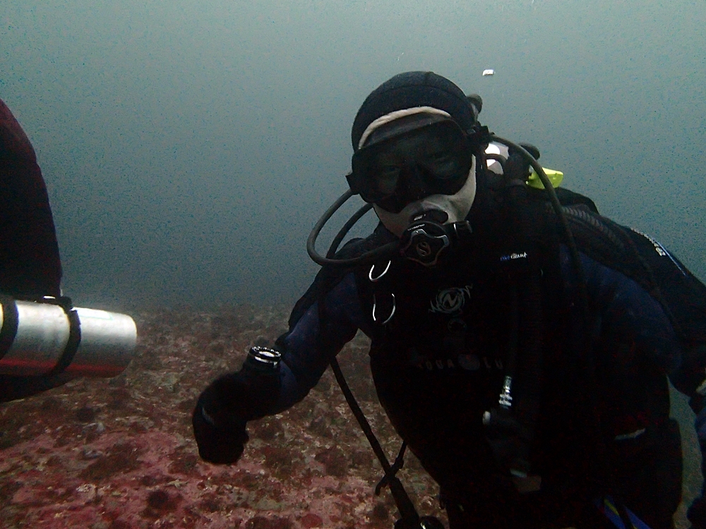Fun Diving - 강원도 고성 청간정 리조트 (http://cafe.naver.com/gooddive) - 신규 포인트
