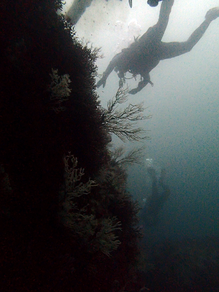 Fun Diving - 강원도 고성 청간정 리조트 (http://cafe.naver.com/gooddive) - 신규 포인트