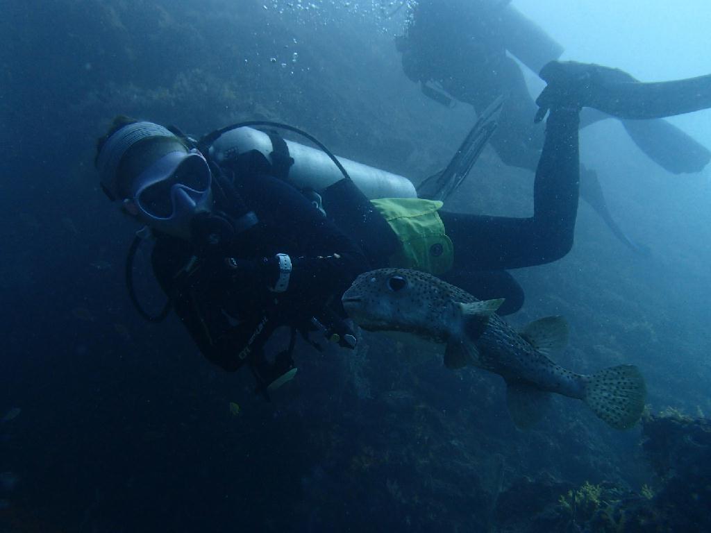 데이트립 - 푸켓 - 피피섬 본섬