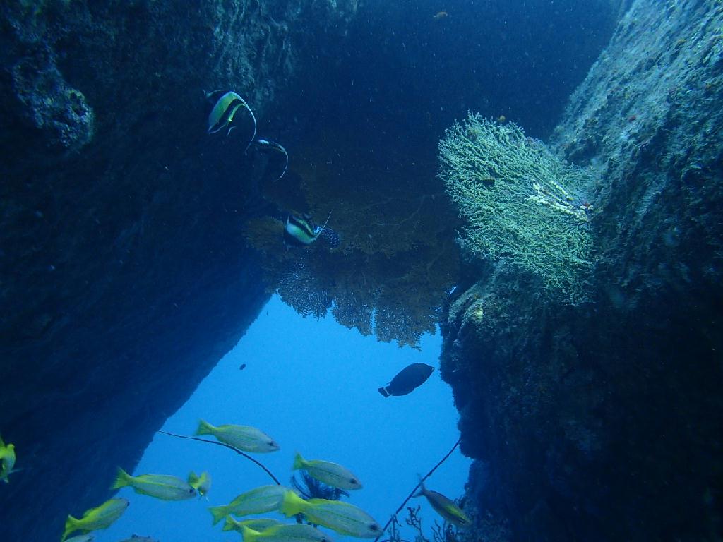 태국 푸켓의 데이트립 첫날 - 푸켓 - 라차야이