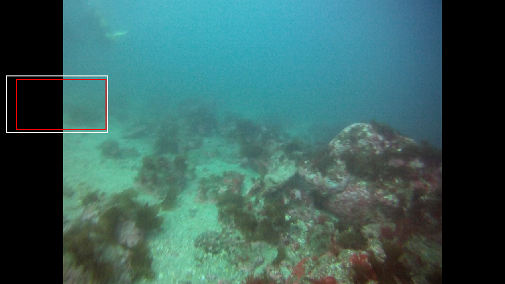 경포다이브리조트