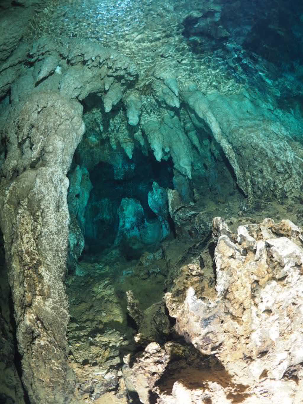 펀 다이빙 - 팔라우 - CHANDELIER CAVE