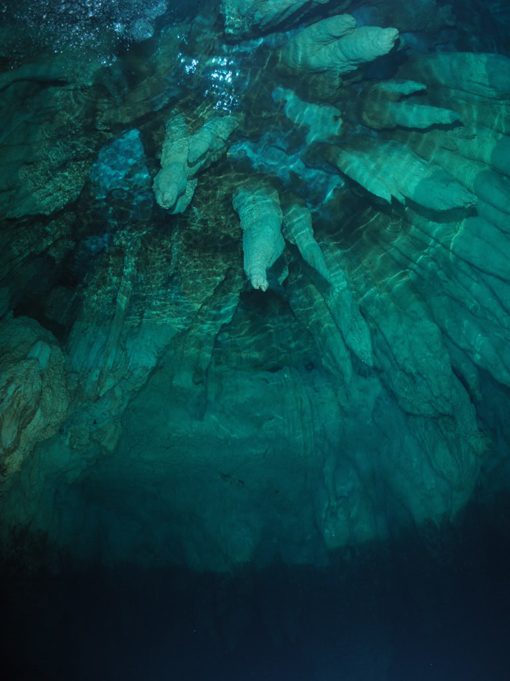 펀 다이빙 - 팔라우 - CHANDELIER CAVE