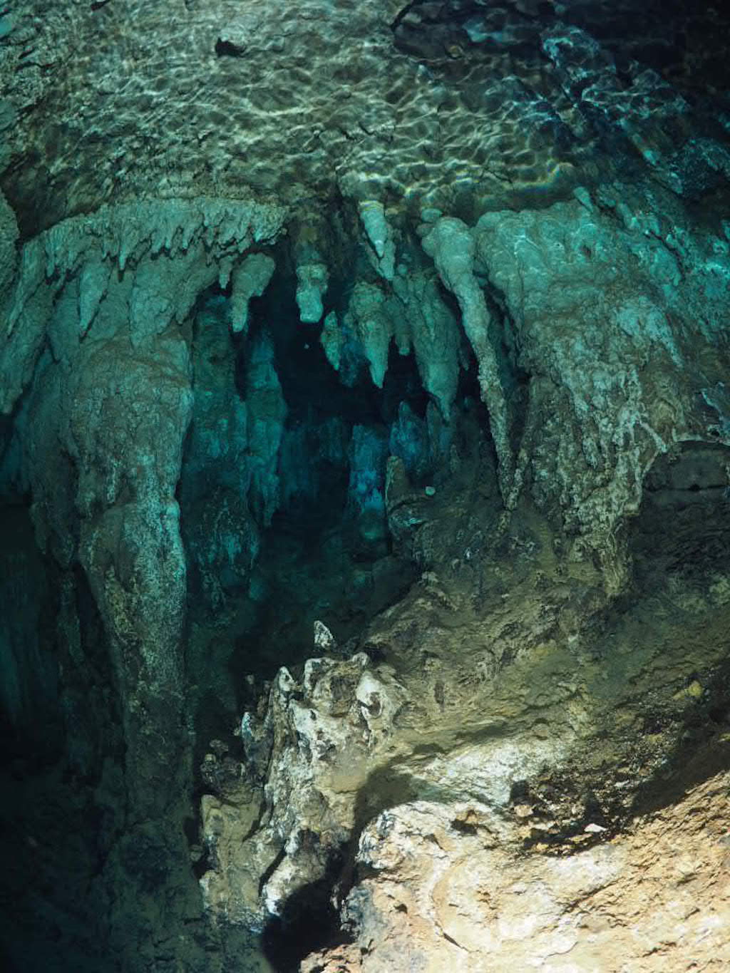 펀 다이빙 - 팔라우 - CHANDELIER CAVE