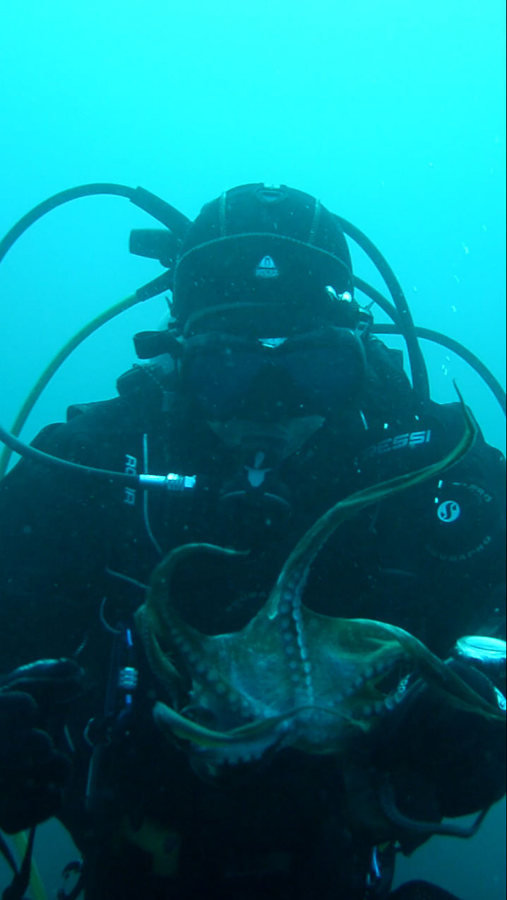 펀다이빙 - 사천보보스 - 넓게 분포된 사막지형