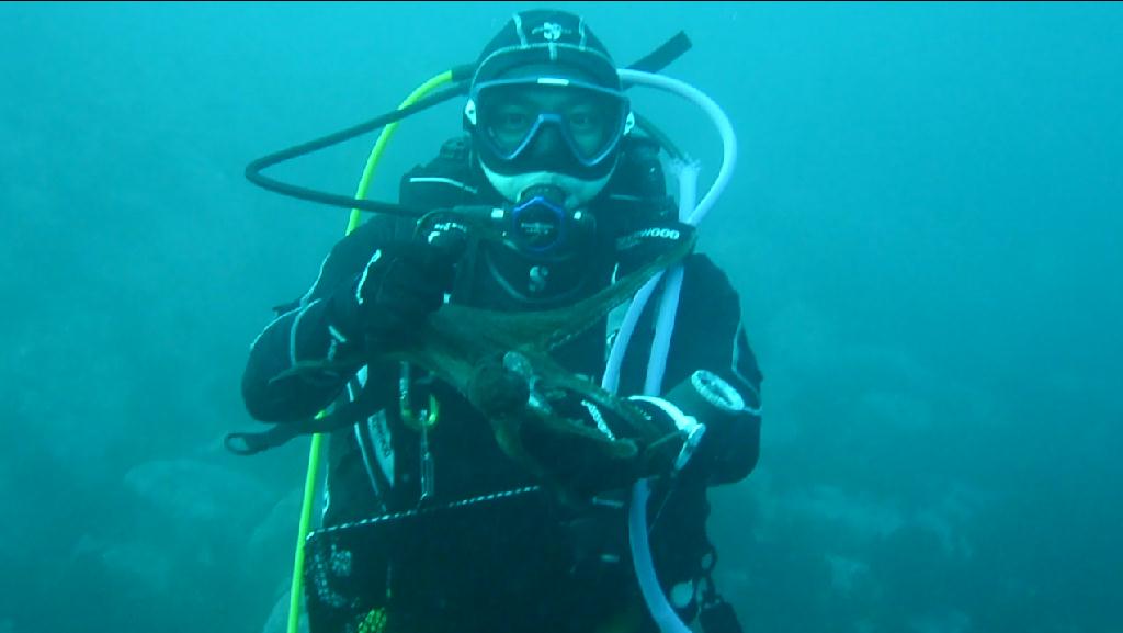 펀다이빙 - 사천보보스 - 넓게 분포된 사막지형