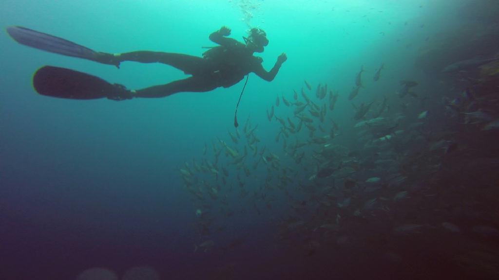 펀다이빙 - 필리핀 보홀 팜아일랜드 리조트 - 발리카삭