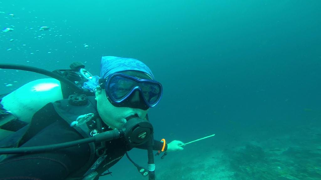 펀다이빙 - 필리핀 보홀 팜아일랜드 리조트 - 발리카삭