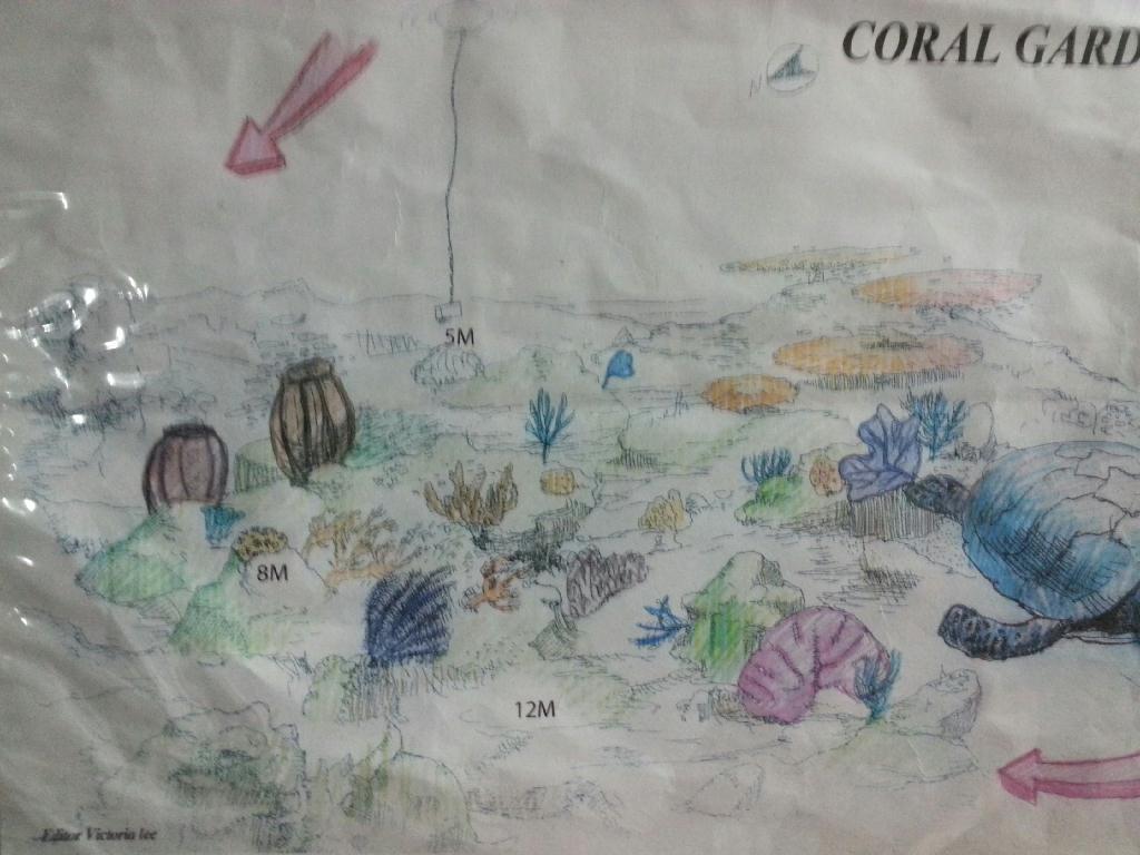 필리핀 아닐라오 - coral garden