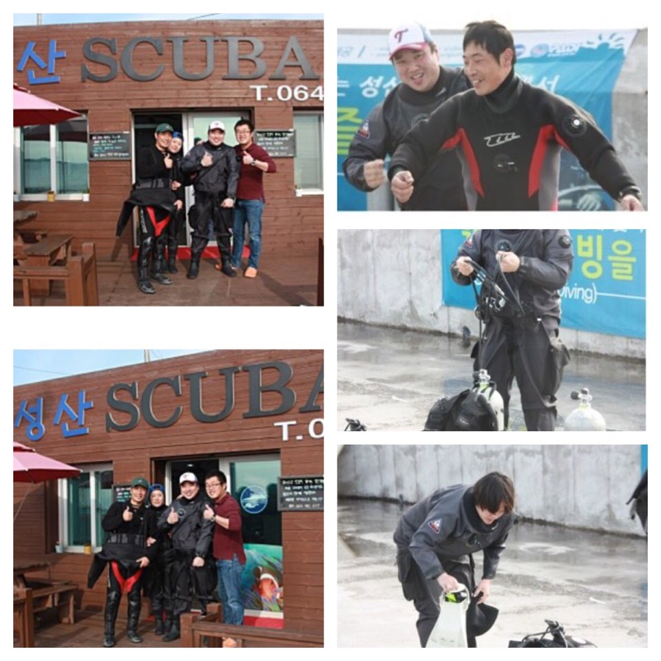 제주 성산당비브