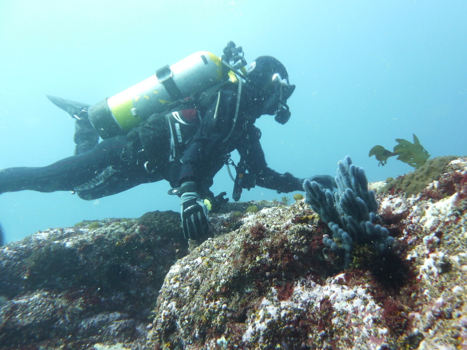 레져 - 월포 - 자연짬