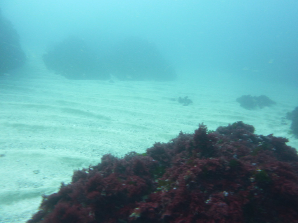 레져 - 월포 - 자연짬